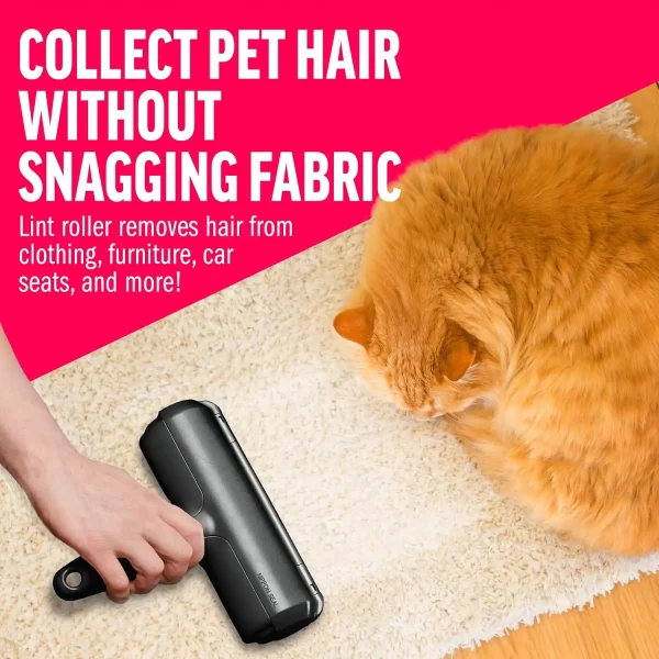 pet-hair-remover-on-carpet-orange-cat A collage showing the roller working on four different surfaces: a blue velvet couch, a red dog bed, a cat scratching tower, and a black car seat