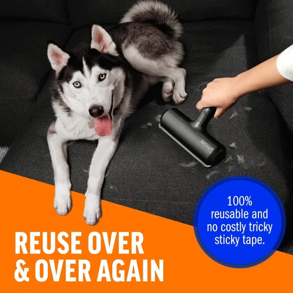 reusable-pet-hair-roller-husky-dog-couch A husky dog resting on a dark sofa while a hand cleans hair off the cushion, emphasizing that the tool is 100% reusable and requires no sticky tape